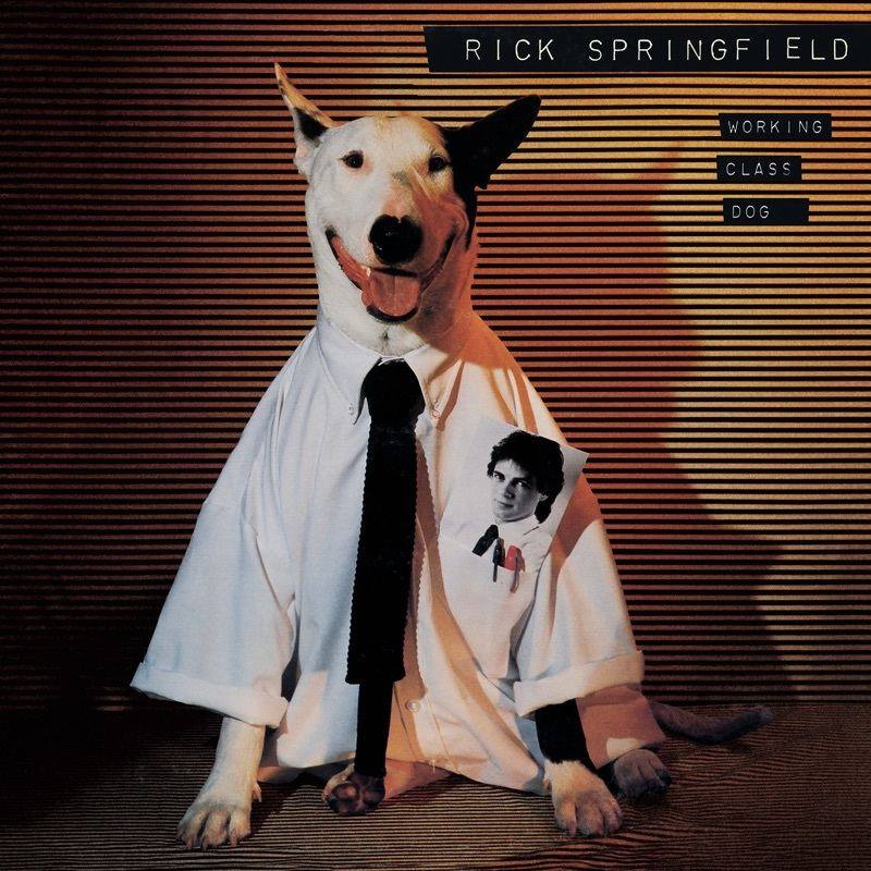 RICK SPRINGFIELD — WORKING CLASS DOG cover